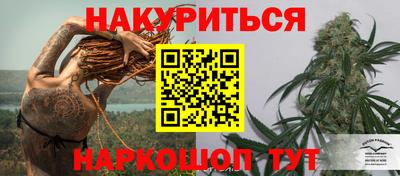 гидра Краснодар